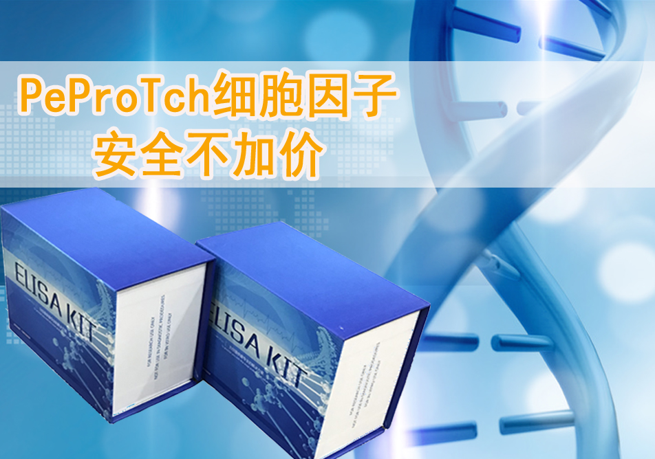 PeproTech��(x��)�����Ӱ�ȫ���Ӄr(ji��)