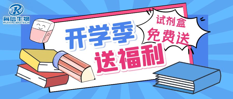 �_�W(xu��)���͸�������