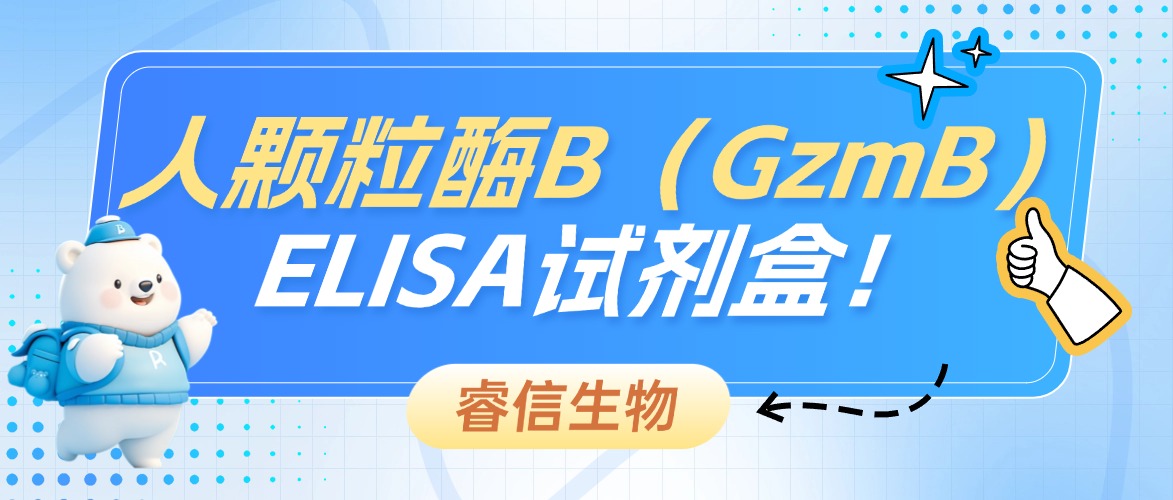 ���a(ch��n)Ʒ�۽������w��øB��GzmB��ELISAԇ������